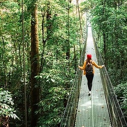 Costa Rica Hanging Bridges