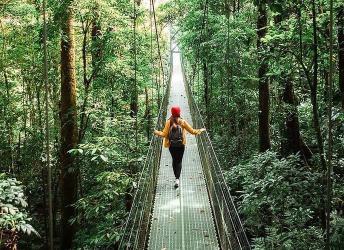 Costa Rica Hanging Bridges