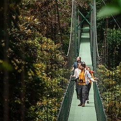 Costa Rica Hanging Bridges