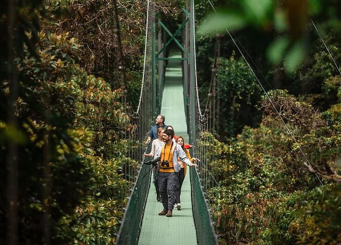 Costa Rica Hanging Bridges
