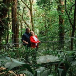 Costa Rica Hanging Bridges