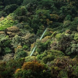 Costa Rica Hanging Bridges
